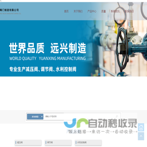 浙江远兴阀门制造有限公司