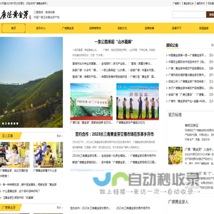 广德黄金芽