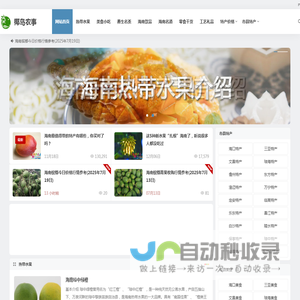 海南特产