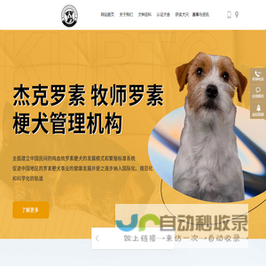 天津市北辰区杰克帕尔森梗犬宠物俱乐部队