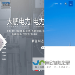浙江大鹏电力设备有限公司