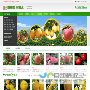 果树苗多个品种