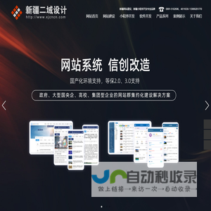 新疆网站建设