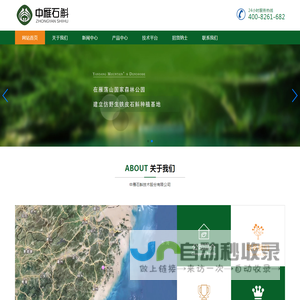 中雁石斛技术股份有限公司