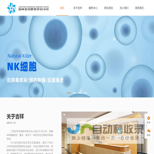 nk免疫细胞