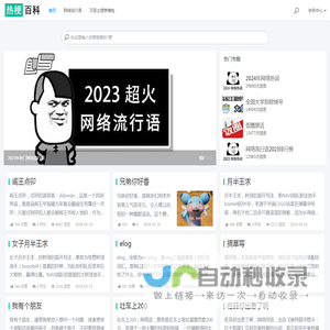网络流行语解释