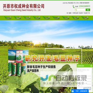 开原毛豆种