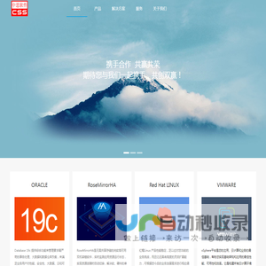 中思软件有限公司