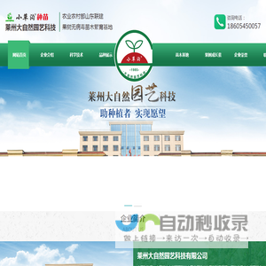 福星苹果苗