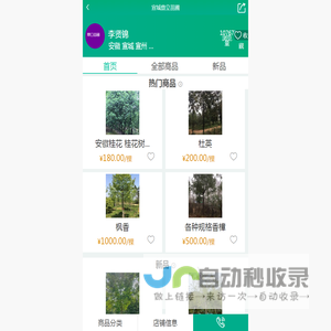 安徽香樟