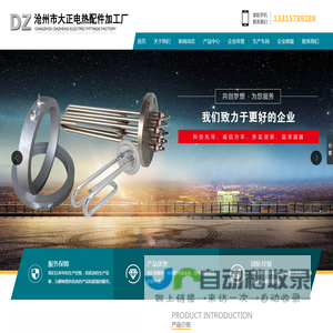 壁挂式电采暖炉
