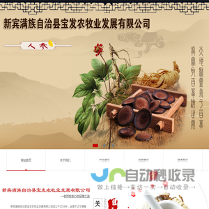 抚顺人参加工,抚顺细辛加工,抚顺五味子加工,新宾中草药,新宾中草药厂