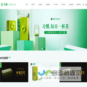 信阳文新茶叶