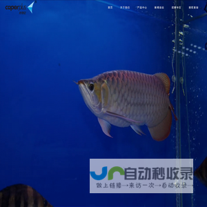 光特亿