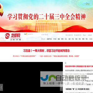 龙都网