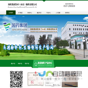 国药集团鲁亚（山东）制药有限公司