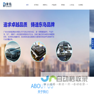 广东东岛新能源股份有限公司