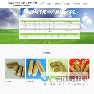 拉毛果
