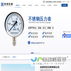 不锈钢耐震压力表