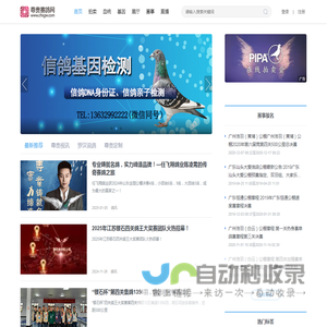 尊贵赛鸽网
