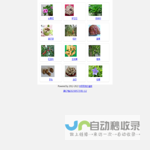 中药药用价值网