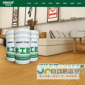 江门市丁氏化学工业有限公司