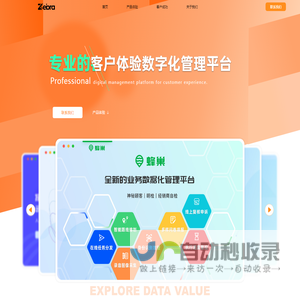 光速斑马