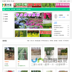 苗木站