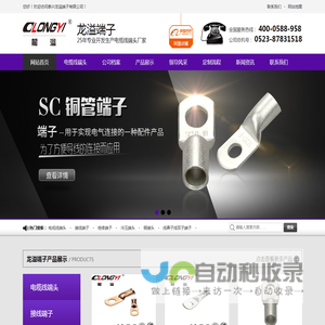 电缆线端头,电线接头,接线端子厂家,绝缘端子批发,铜接头供应商【龙溢端子】