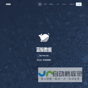 IP地址查询