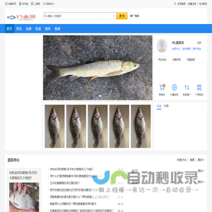 钓鱼网