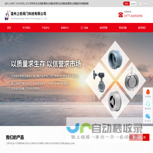 对夹式止回阀
