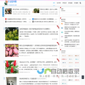 繁趣花卉网
