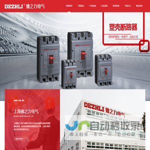 上海德之力电气有限公司