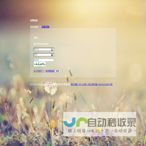 马鞍山乘浪网络one