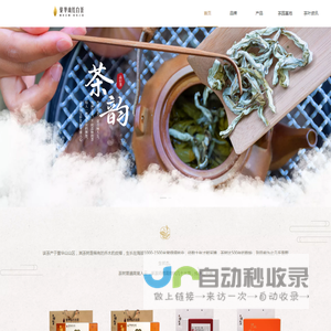 蓥华山红白茶