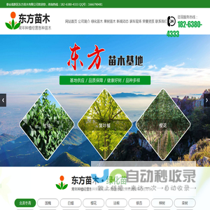 山东泰安绿化苗,果树苗种植批发基地