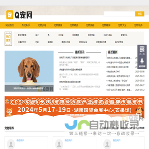 Q宠网