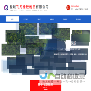 盐城飞龙橡胶制品有限公司