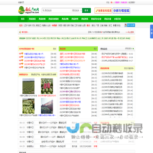 西瓜产地网