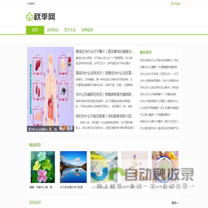 秋季网