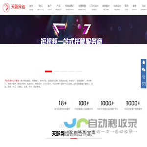 天脉网络