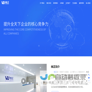 维正知识产权