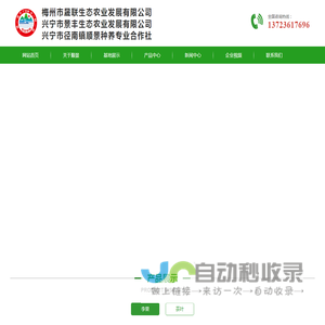 兴宁市径南镇顺景种养专业合作社｜兴宁茶叶｜李果种植批发
