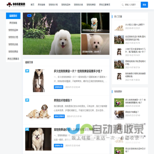 宠物狗的价格及品种