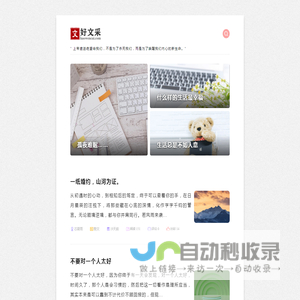 好文采