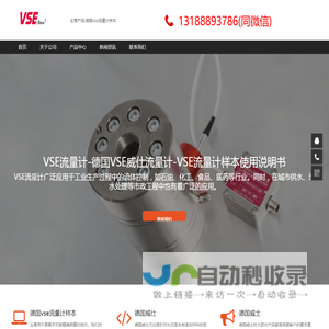 VSE流量计