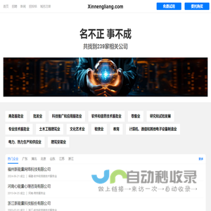 新能量有限公司