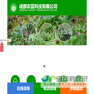 四川成都中草药材种植基地,提供四川白芨种植,四川黄精种植,四川重楼种植,四川天麻种植等药材种子药材种苗