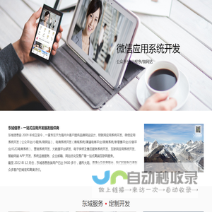 东域服务